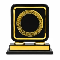 b ring 1